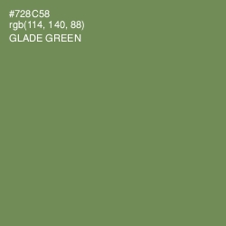 #728C58 - Glade Green Color Image